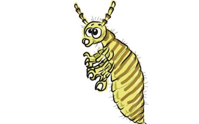 Senseless Lice Toddler Death