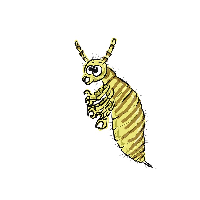 Senseless Lice Toddler Death Senseless Lice Toddler Death