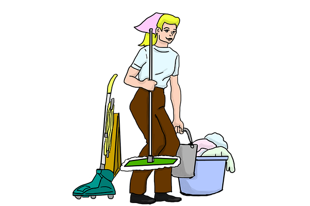 House Cleaning Lice Tips