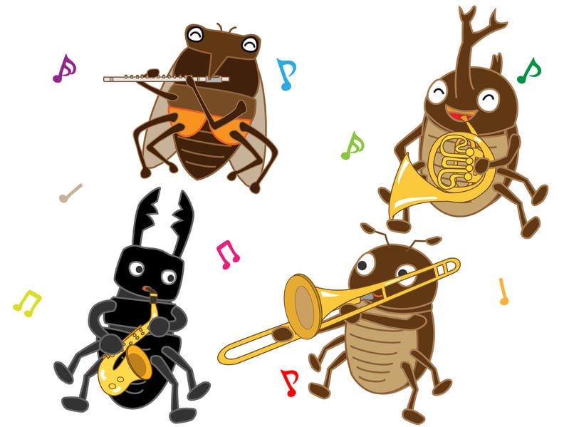 Beatles Ants Roches