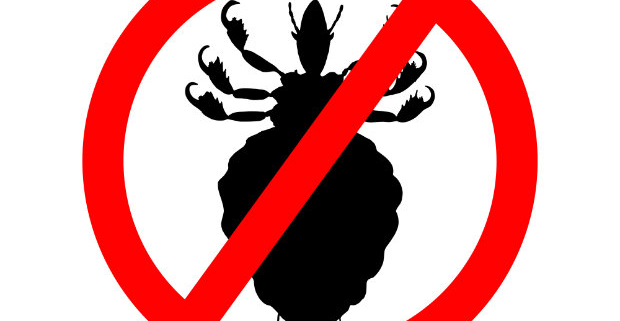 Head Lice Retreat Lockdown