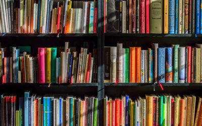 World Book Day April 23