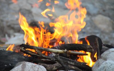 Summer Camps Uncertainty