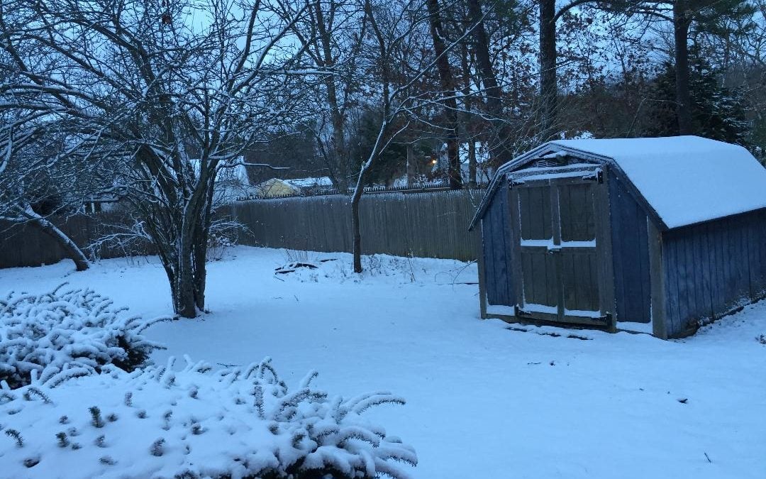 Baby it is Cold Outside – Lice Still Have a Way of Showing Up