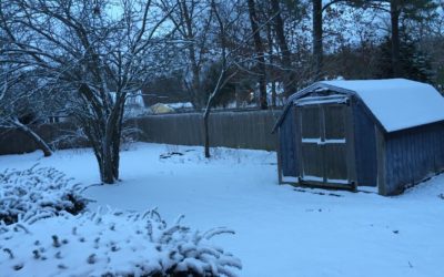 Baby it is Cold Outside – Lice Still Have a Way of Showing Up