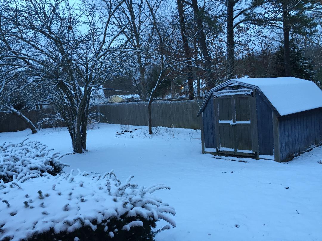 Baby it is Cold Outside - Lice Still Have a Way of Showing Up