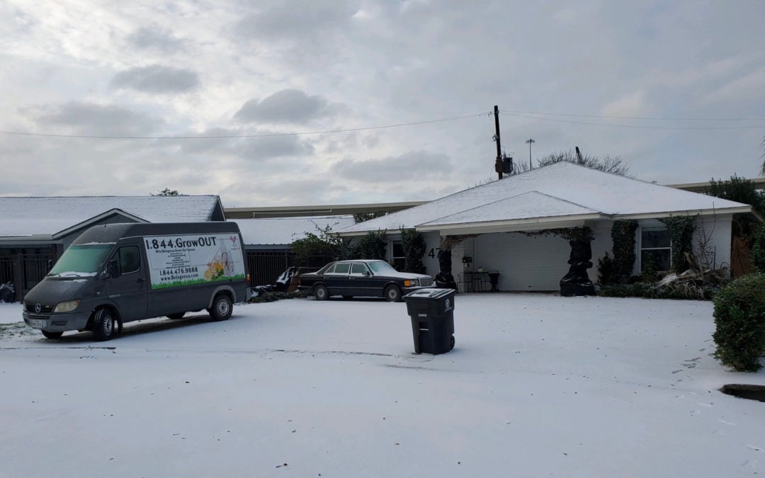 Big Chill Of The South