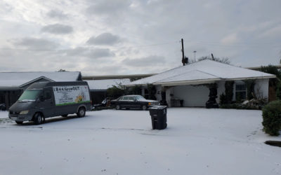 Big Chill Of The South
